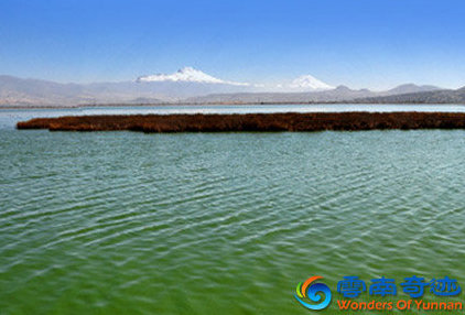 green cloudy water of chenghai lake in lijiang with spirulina yunnan china