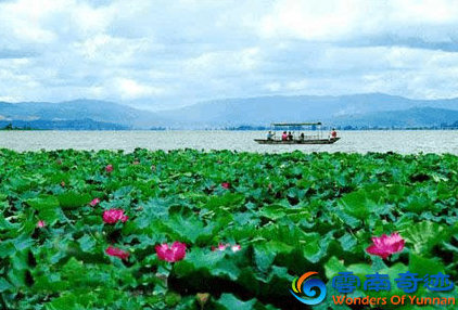 Yilong lake clear water with lotus flowers and boat honghe yunnan china