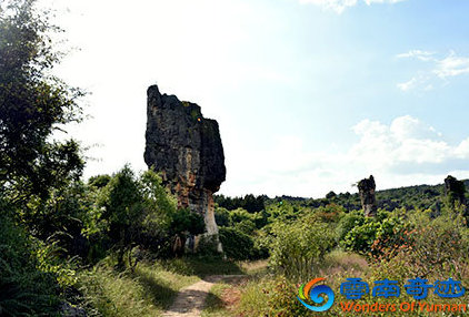 Kunming Yunnan Shilin Black Stone Forest Naigu Stone Forest