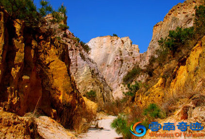 Qujing Liulang Sand Forest Yunnan