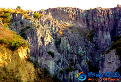 Qujing Liulang Sand Forest Yunnan