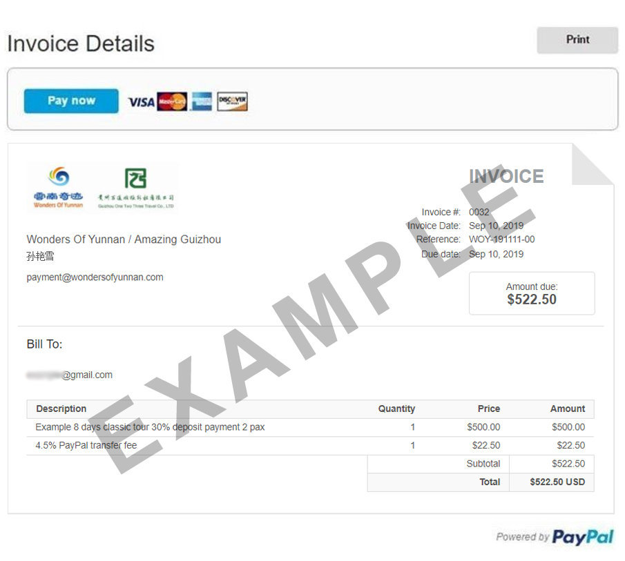 paypal payment invoice example template