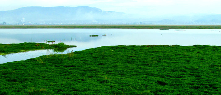 qilu lake yuxi kunming yunnan china