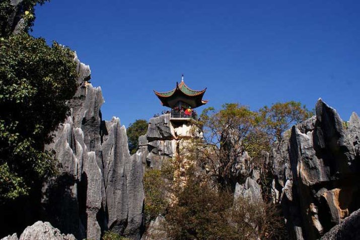 Stone Forest 2