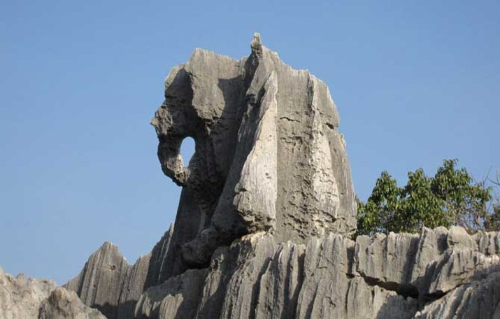 Stone Forest 3