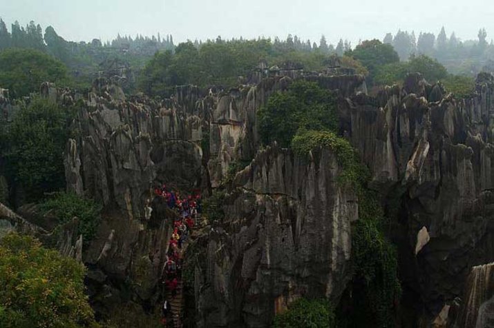 Stone Forest 4