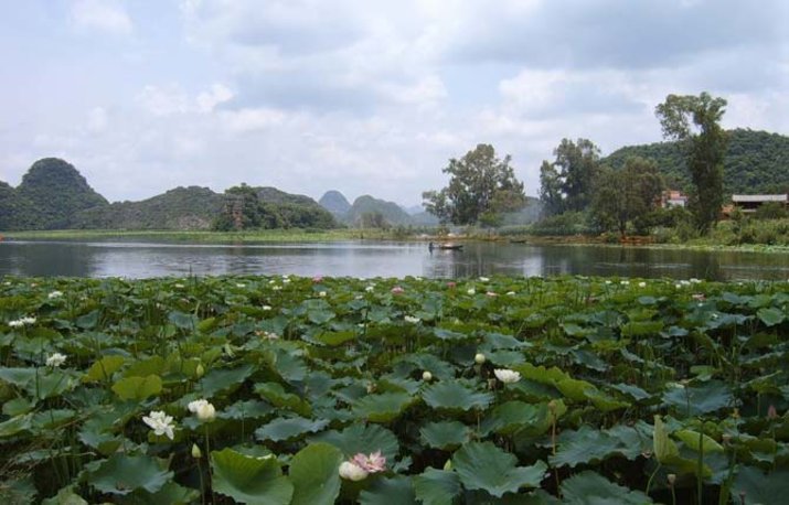Wenshan 5