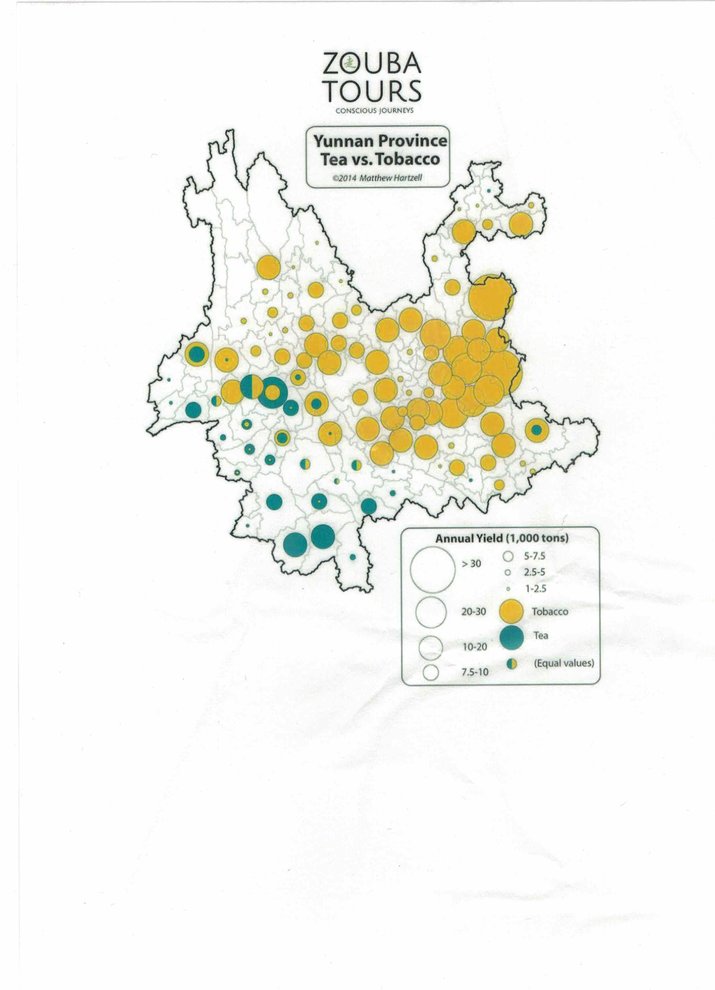 Yunnan Province Tea vs.Tobacco
