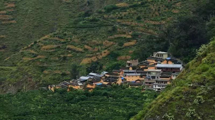 zhukula village coffee plantage yunnan china